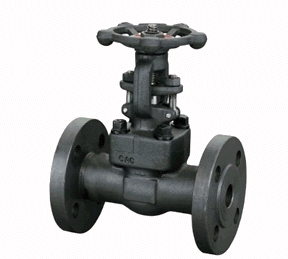 鍛鋼法蘭閘閥 鍛鋼法蘭閘閥