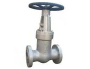 法蘭壓力自緊式閘閥 法蘭壓力自緊式閘閥