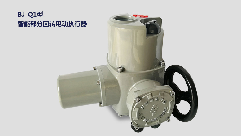 部分回轉(zhuǎn)系列智能型電動(dòng)執(zhí)行器 部分回轉(zhuǎn)系列智能型電動(dòng)執(zhí)行器
