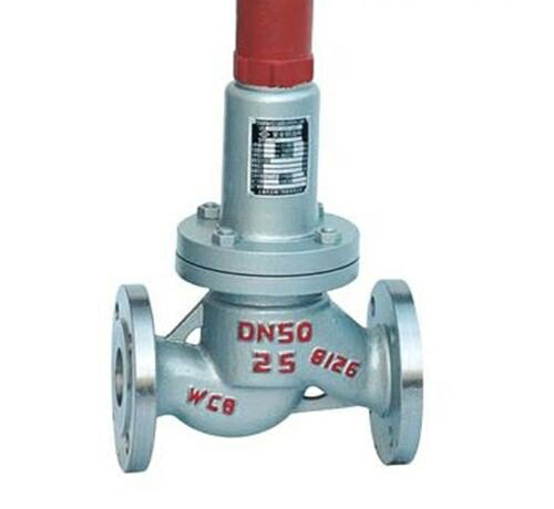 安全回流閥 安全回流閥